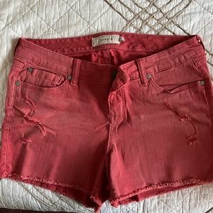 Torrid Shorts